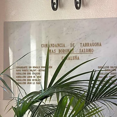 Mas Boronat Salomo